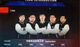 梅尔最新爆料新闻,揭秘娱乐圈惊人内幕