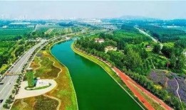 鹿泉最新爆料,揭秘神秘事件背后的真相