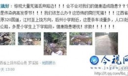 铅山最新爆料新闻,揭秘当地热点事件背后的真相