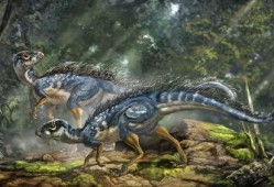 蛋仔恐龙爆料视频大全最新,揭秘神秘恐龙世界