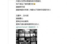 艾伦最新爆料消息,揭秘娱乐圈惊人内幕