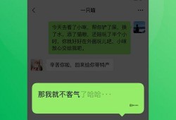 最新密文爆料小程序下载,下载体验与功能解析
