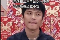 辛巴和三只羊最新爆料,揭秘背后惊人真相！