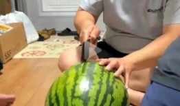 吃瓜现场最新爆料,揭秘娱乐圈最新爆料背后的真相