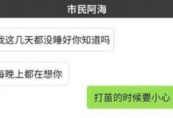 小卫最新爆料,揭秘娱乐圈最新热点事件