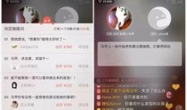 红豆木森最新爆料,揭秘娱乐圈背后的惊人真相！