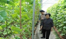 涧西吃瓜最新事件爆料是真的吗,最新爆料真相揭秘