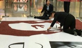 红豆木森最新爆料,揭秘娱乐圈背后的惊人真相！