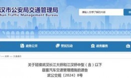 武汉长江爆料最新消息视频