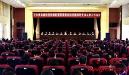 费县爆料新闻最新,最新爆料揭示惊人真相