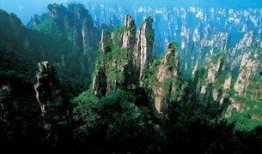 张家界吃瓜爆料视频最新