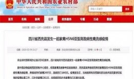 四川爆料最新消息今天疫情,多地现新增病例，防控形势严峻