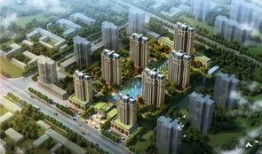 鹿泉最新爆料,揭秘神秘事件背后的真相