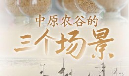 中原农谷爆料视频最新,揭秘农业科技发展新篇章